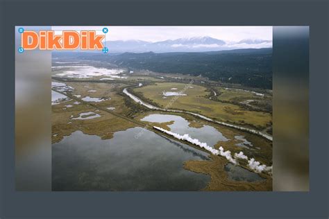 Download DIKDIK Video Kit